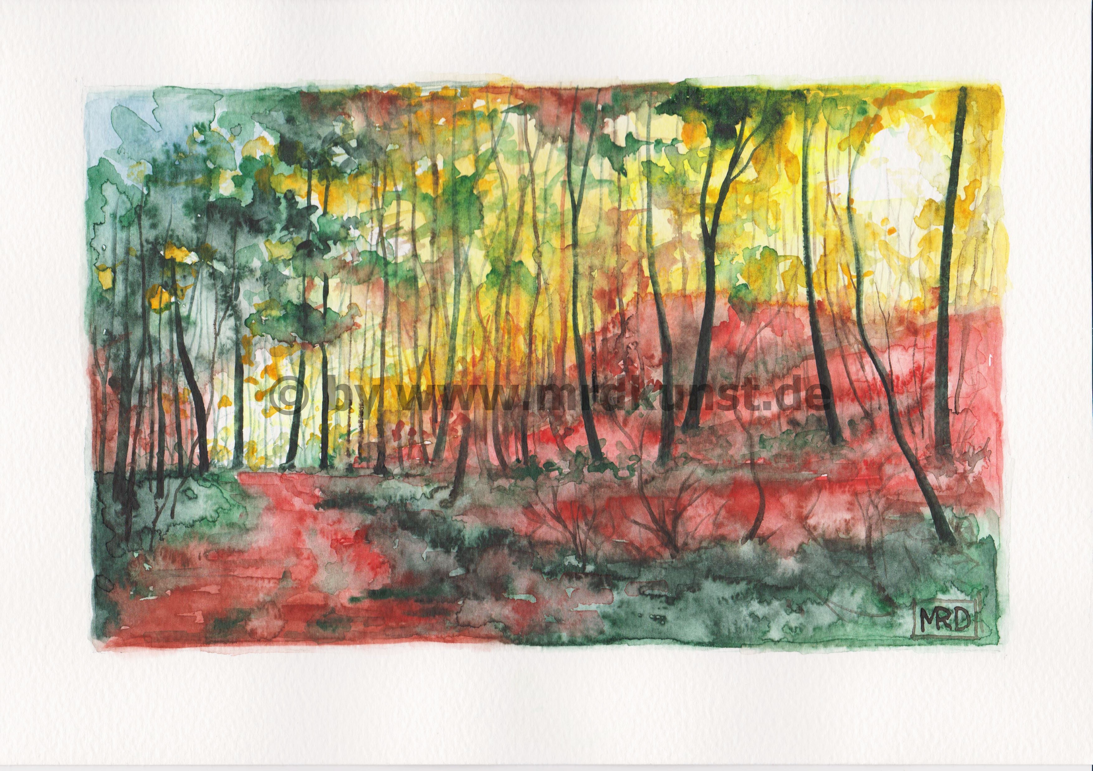 Wald im Sonnenuntergang